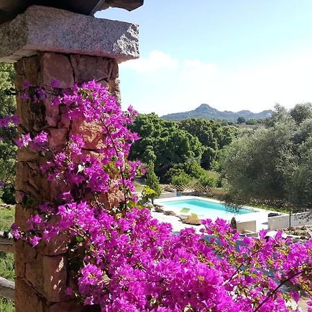Agriturismo Desole Monti Екстериор снимка