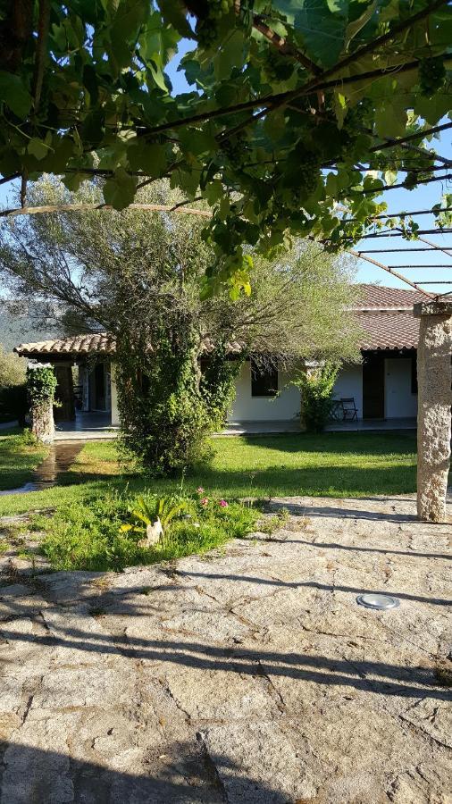 Agriturismo Desole Monti Екстериор снимка