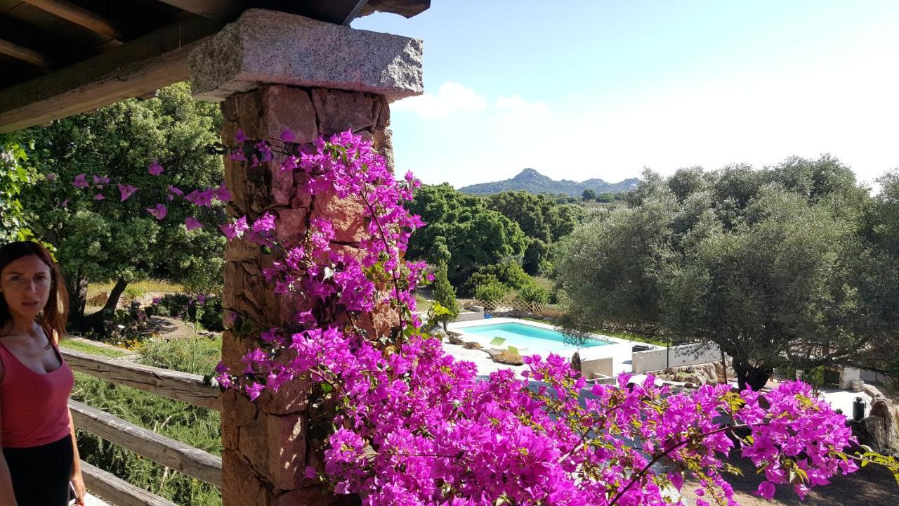 Agriturismo Desole Monti Екстериор снимка