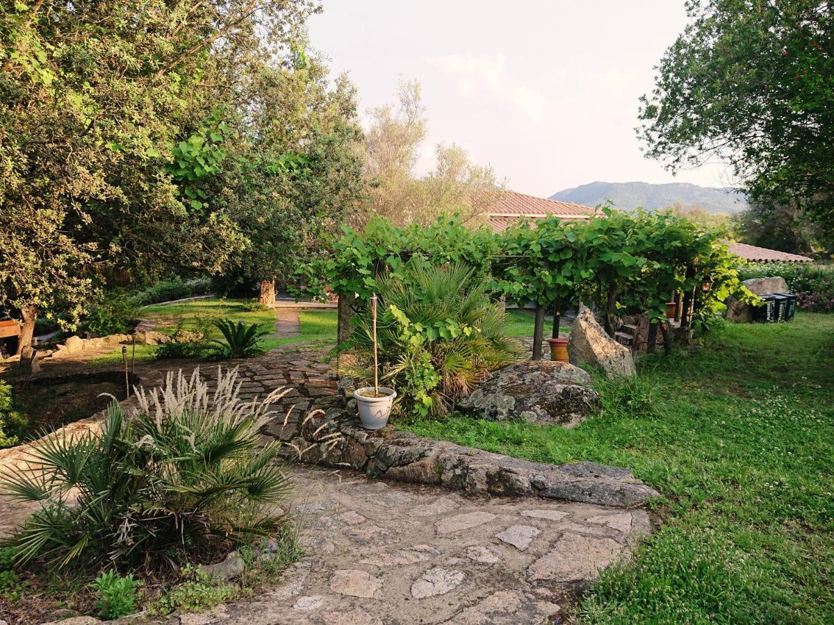 Agriturismo Desole Monti Екстериор снимка