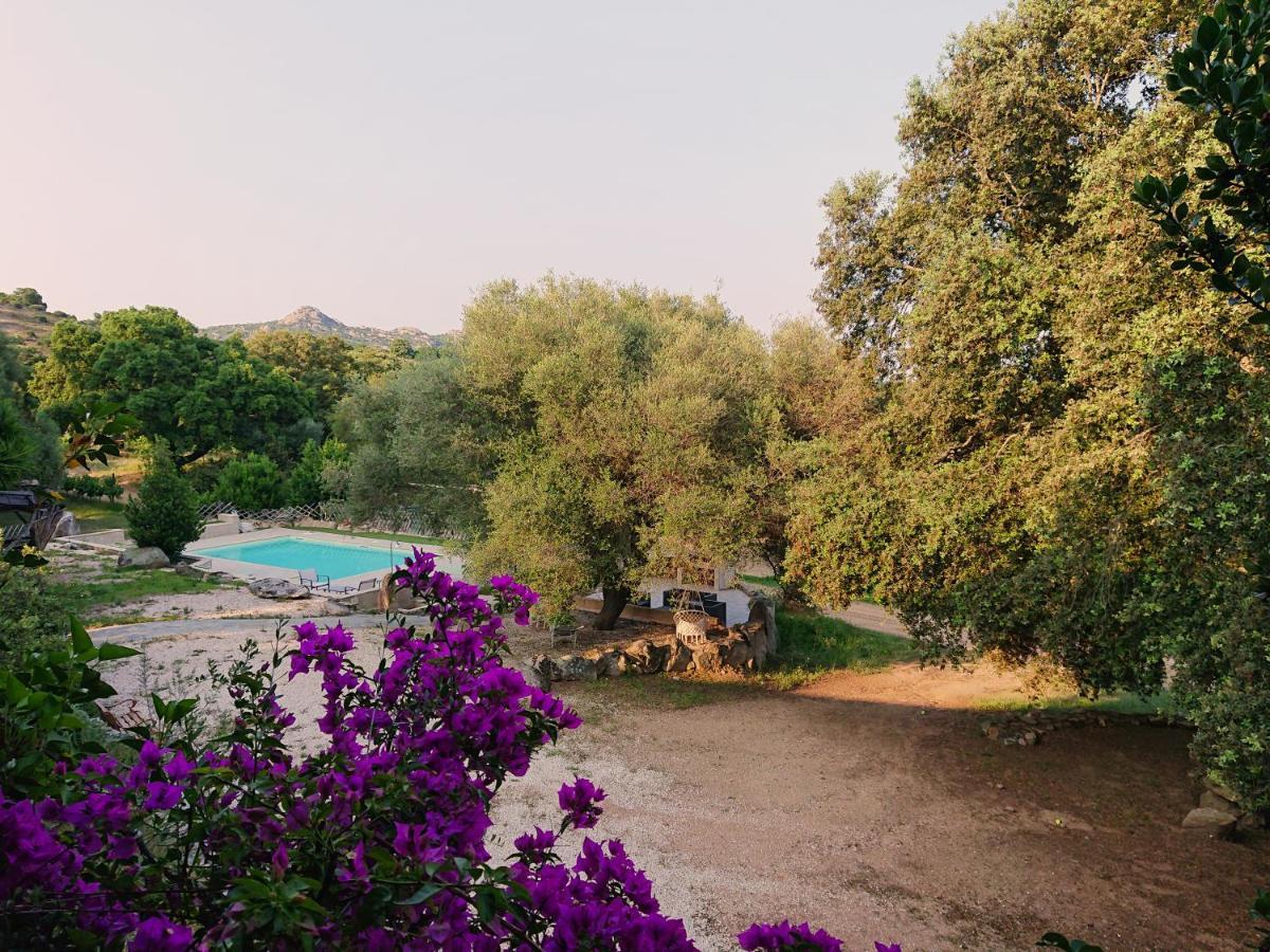 Agriturismo Desole Monti Екстериор снимка