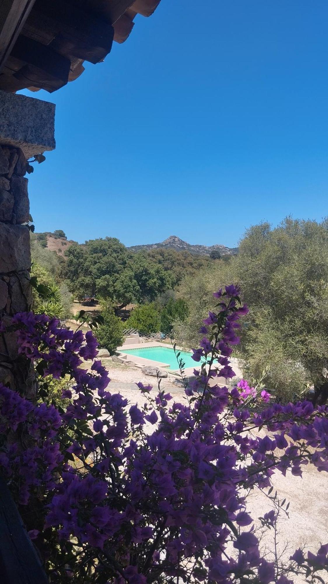 Agriturismo Desole Monti Екстериор снимка