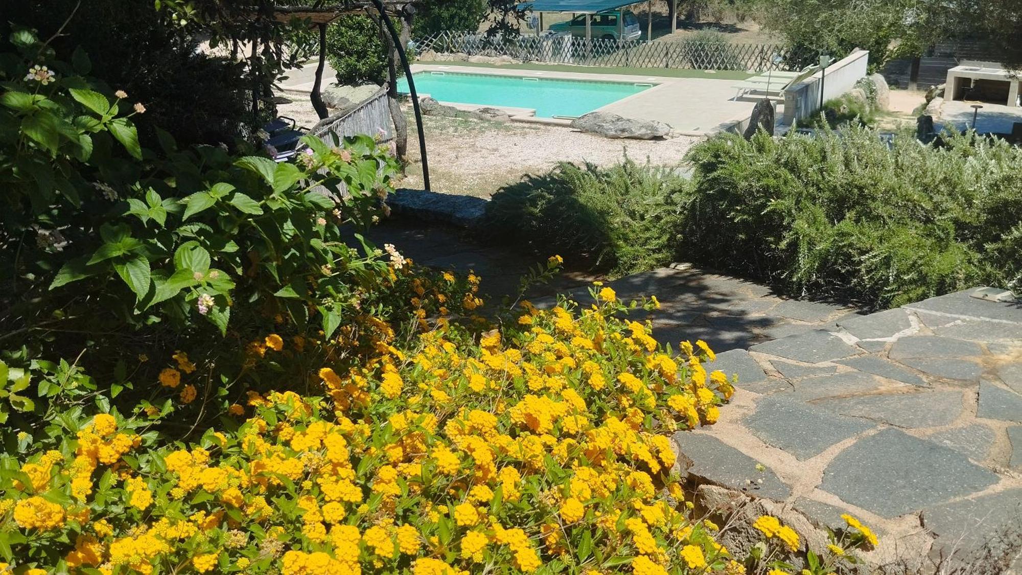 Agriturismo Desole Monti Екстериор снимка